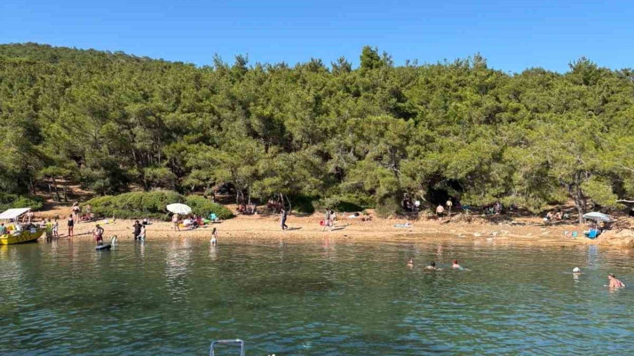 Ayvalık’ta ormanlara giriş yasak ama denetim yetersiz