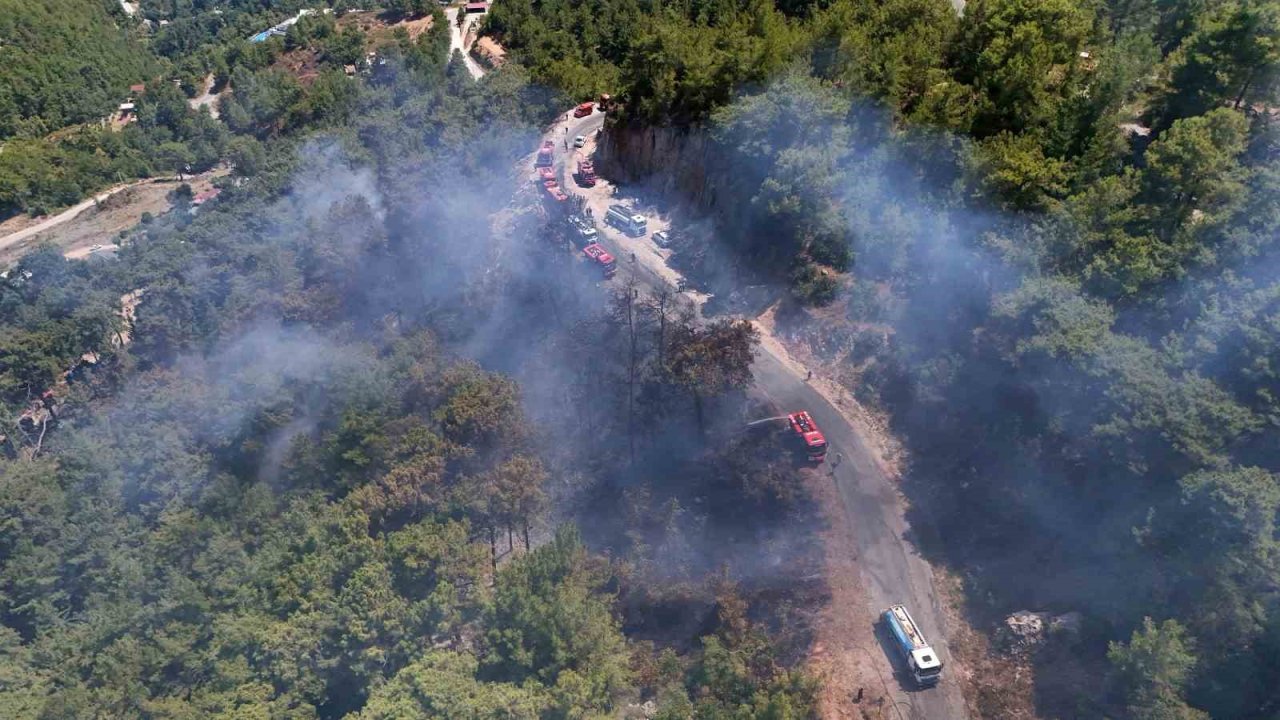 Alanya’da orman yangını 3 saatte kontrol altına alındı