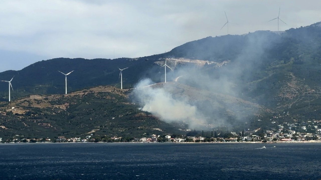 Marmara’da orman yangınına neden olan şüpheli gözaltına alındı