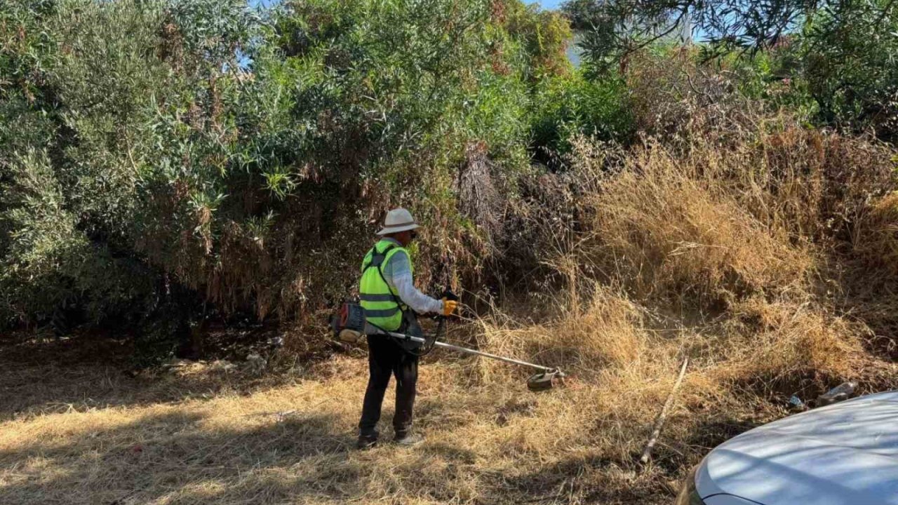 Bodrum’da ot temizliği çalışmaları sürüyor