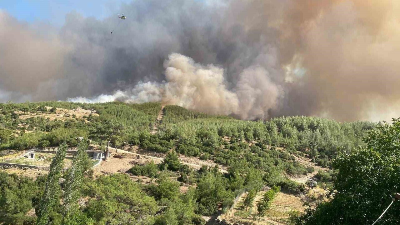 Çine’deki orman yangını tamamen kontrol altına alındı