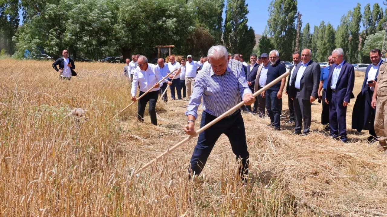 Binali Yıldırım Harman Şenliği’nde tırpan salladı