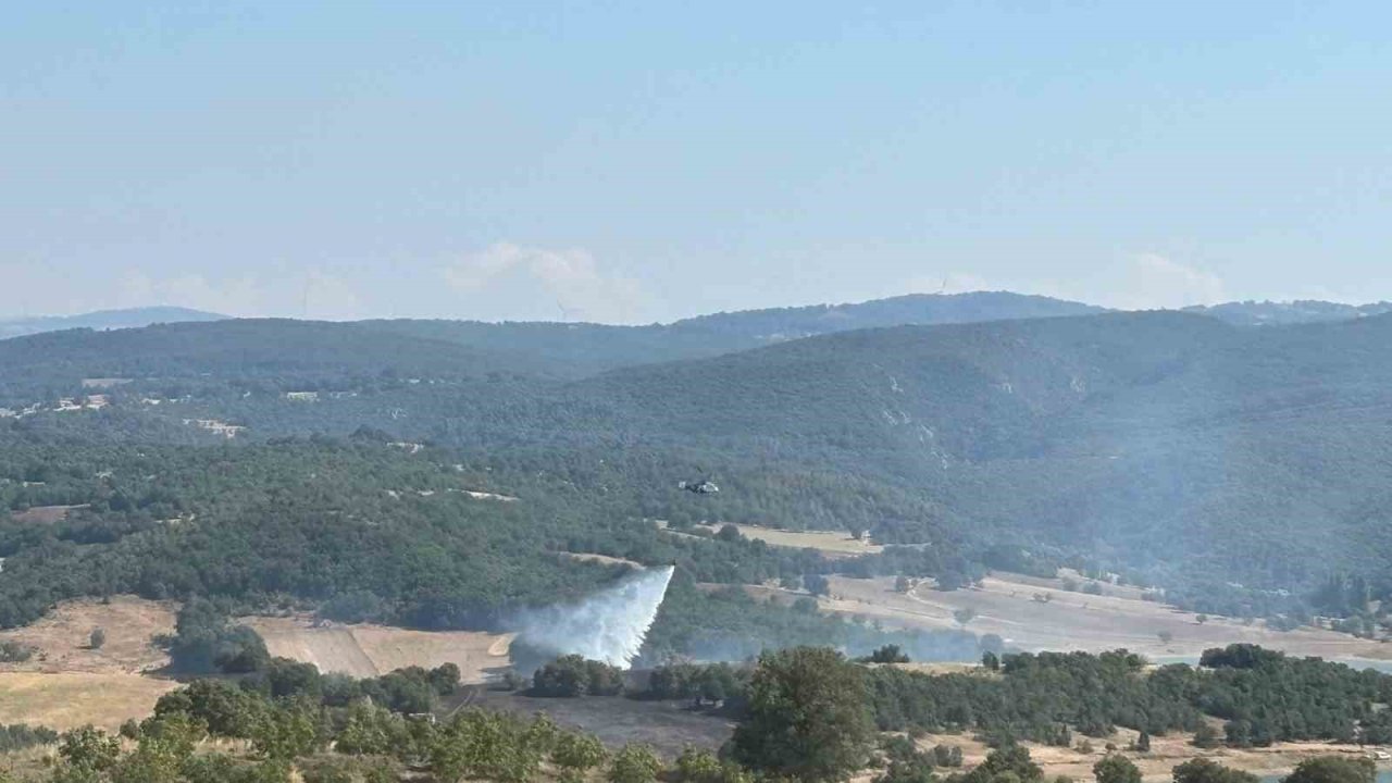 Bilecik’te ormanlık alandaki yangın kontrol altına alındı
