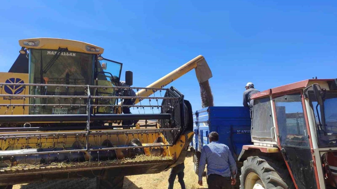 Kütahya’da yerli ve milli tohumlarda nohut hasadı gerçekleştirildi
