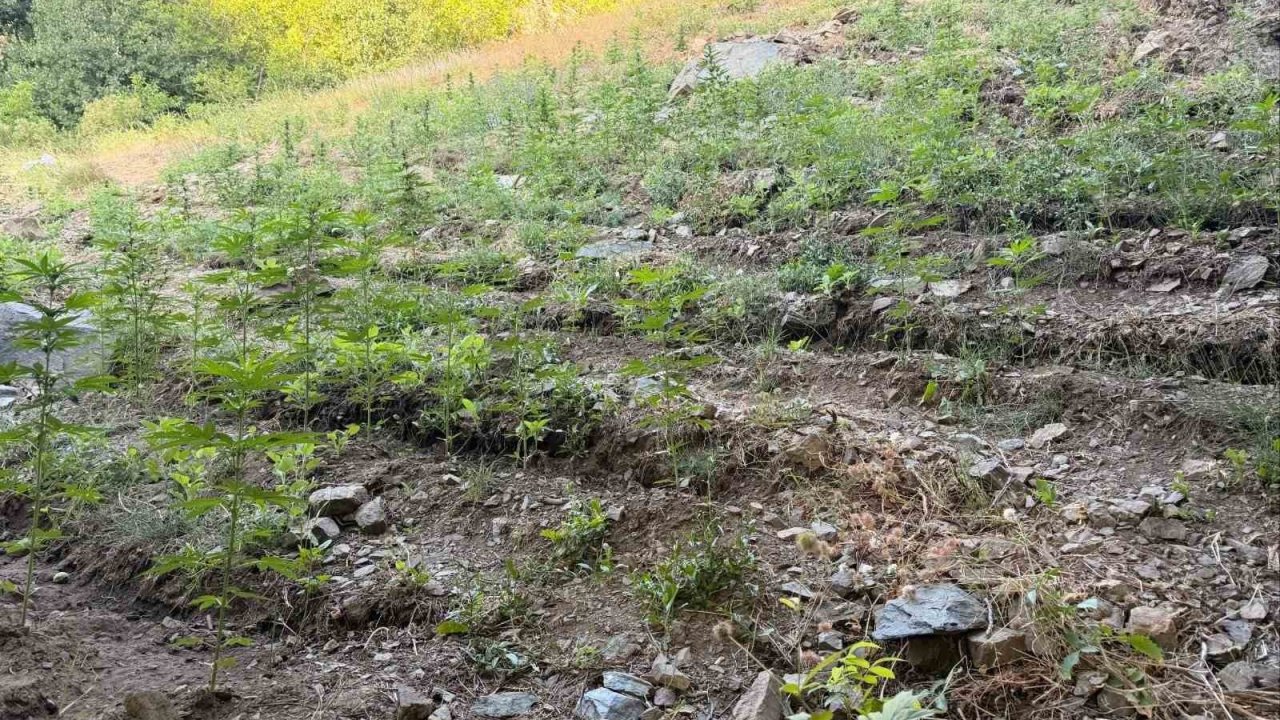 Bingöl’de çeşitli suçlardan 76 şüpheli yakalandı