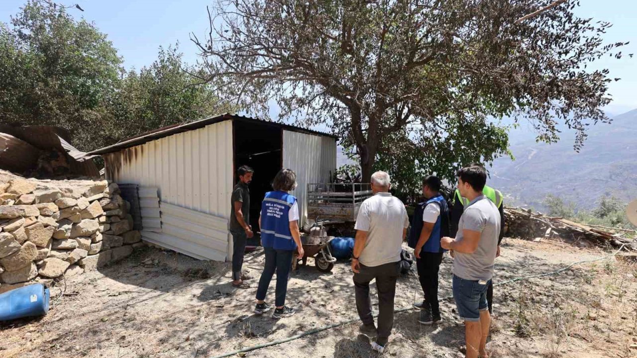 Yangında zarar gören çiftçilere Muğla Büyükşehir desteği