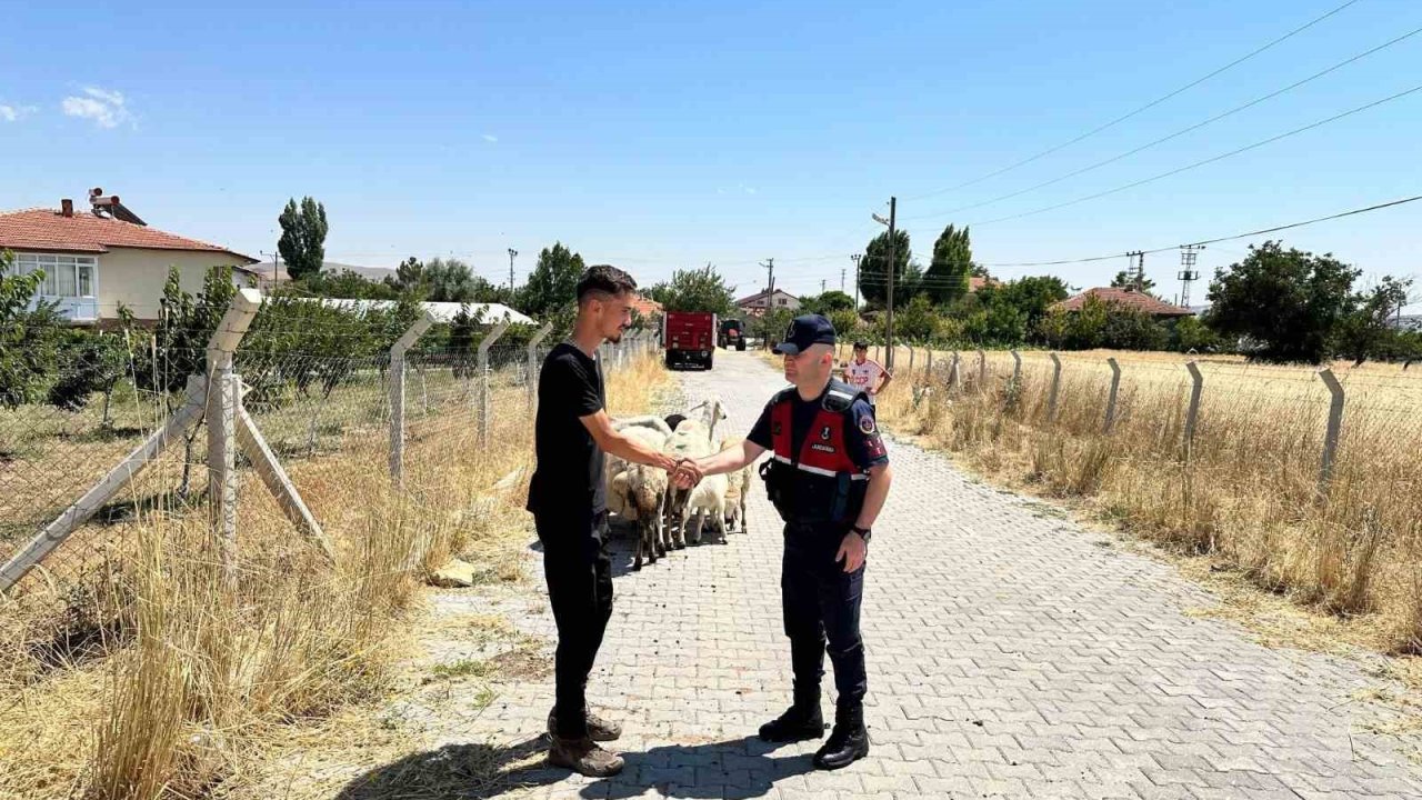 Hayvanları kaybolan çiftçinin yardımına Jandarma ekipleri koştu