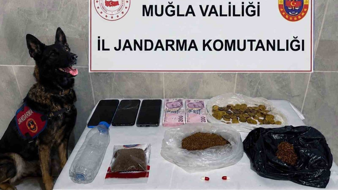 Jandarma KOM ekiplerinden Temmuz’da 24 operasyon