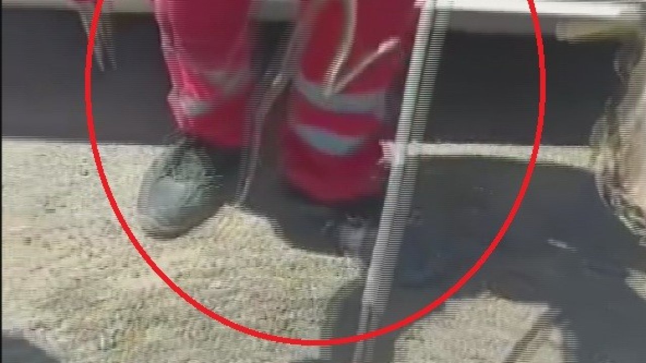 Aracına binerken fark ettiği yılanı itfaiye ekipleri yakaladı