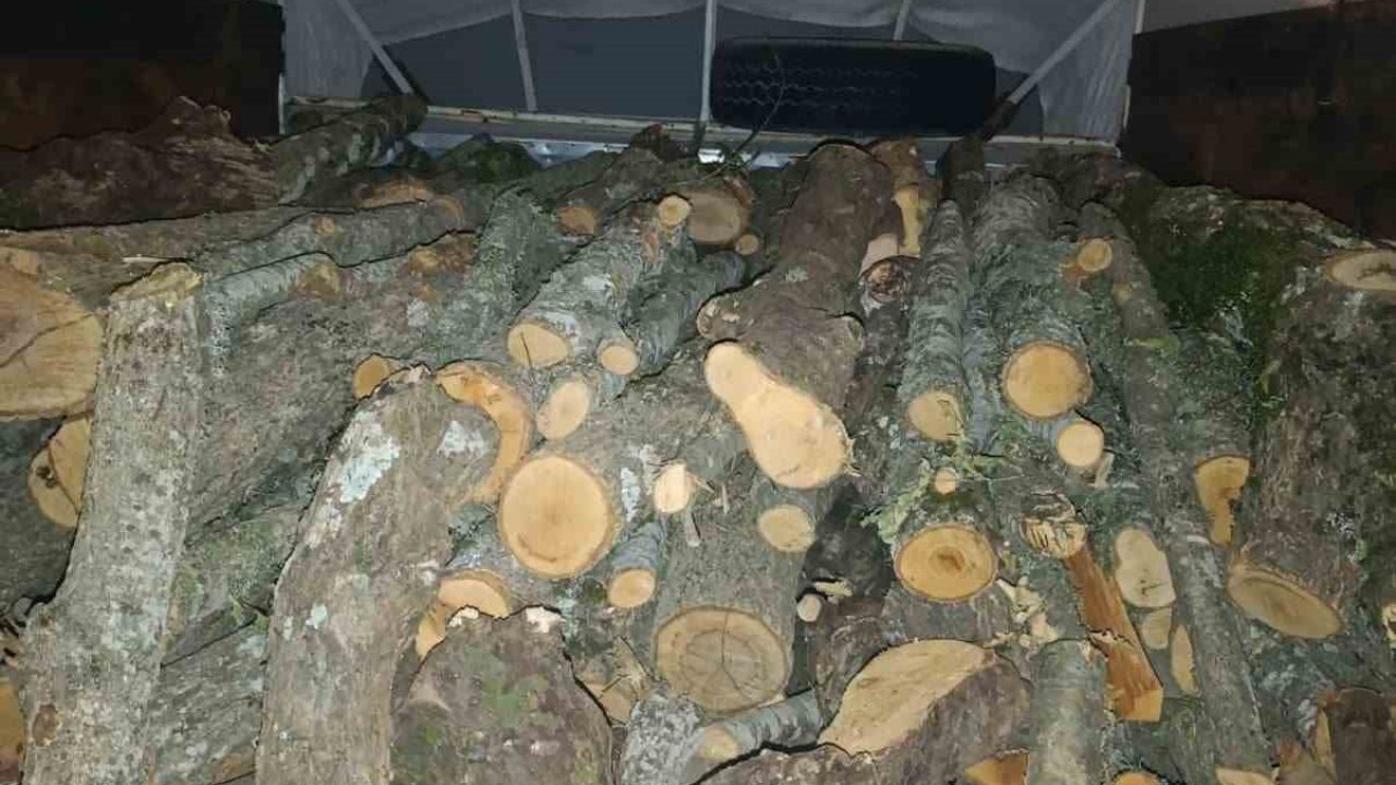 Andırın’da kaçak kesilen ağaçlara el konuldu