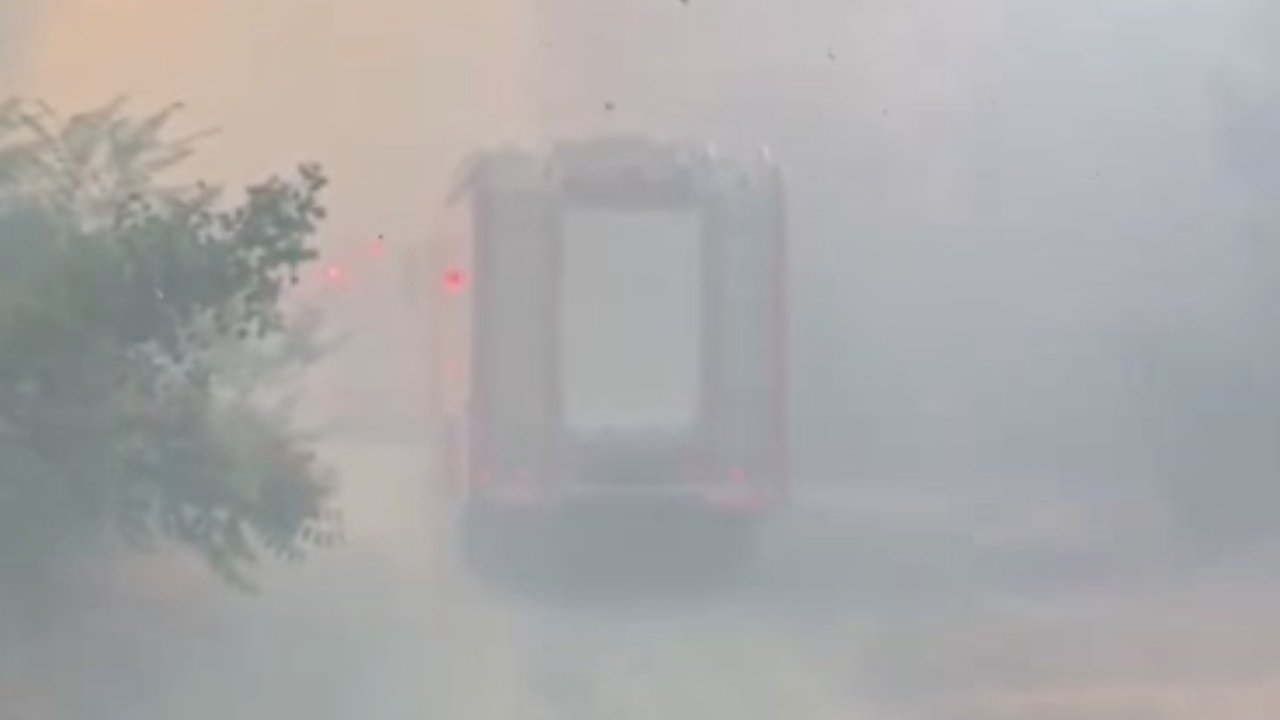 Tepebaşı’ndaki orman yangınında yanmak üzere olan kaplumbağa kurtarıldı