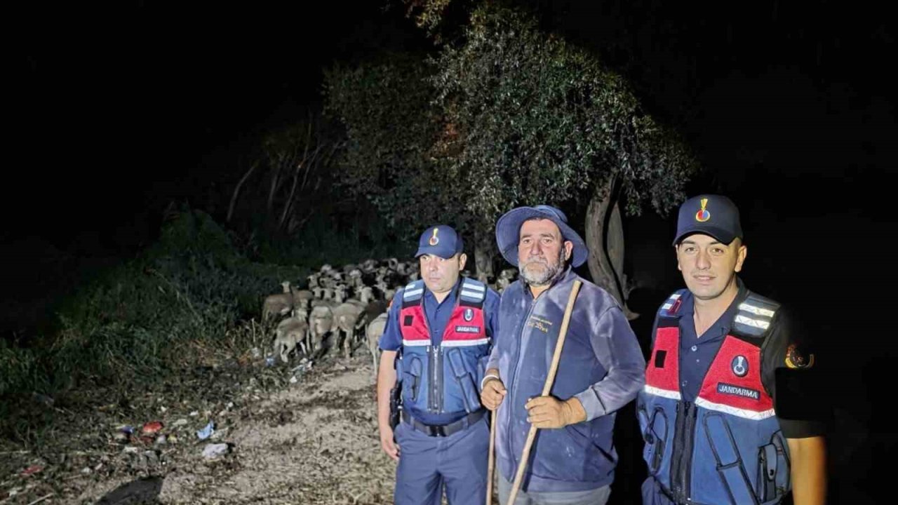 Kayıp ihbarı yapılan çoban ile 100 koyun bulundu