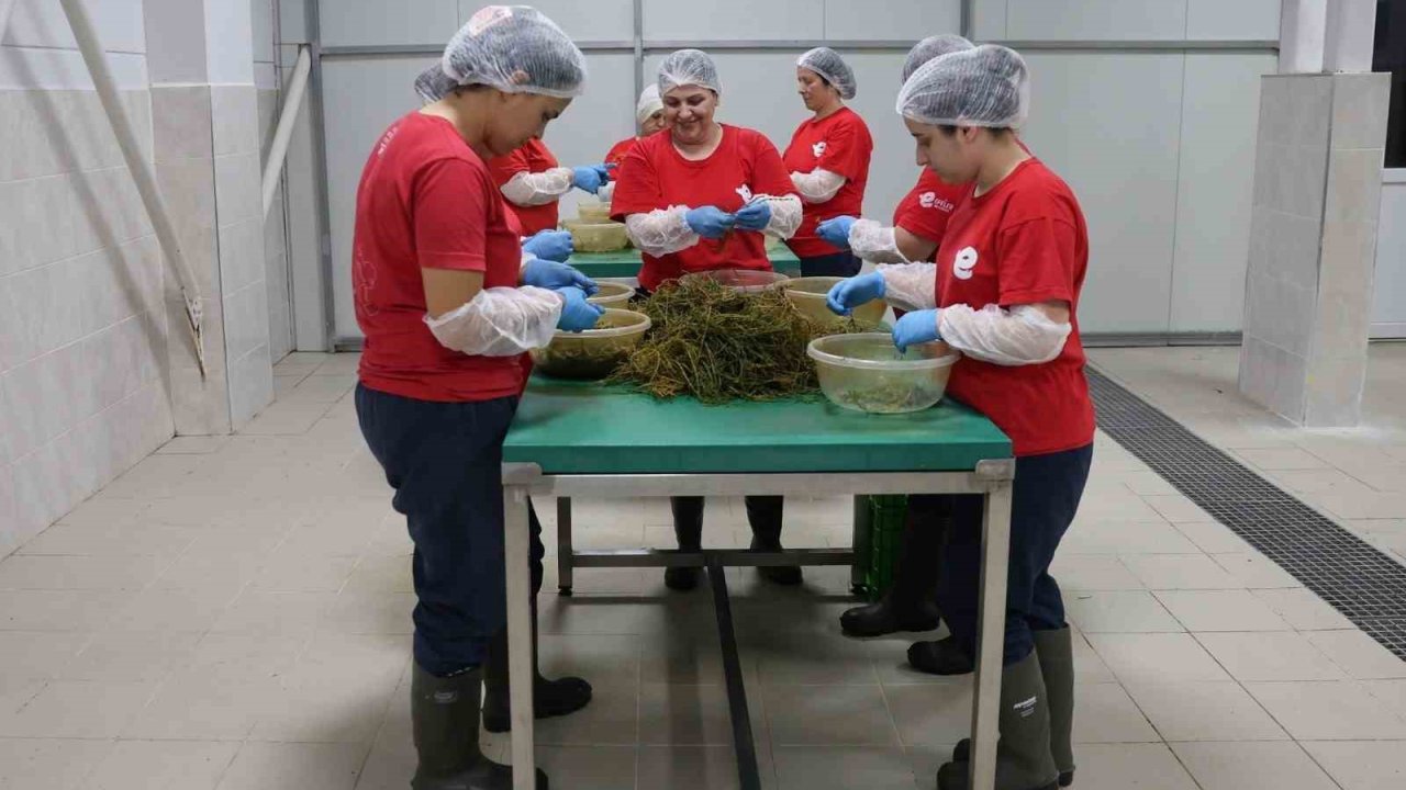 Efeler’in yöresel lezzetleri e-ticaretle Türkiye’ye ulaşıyor