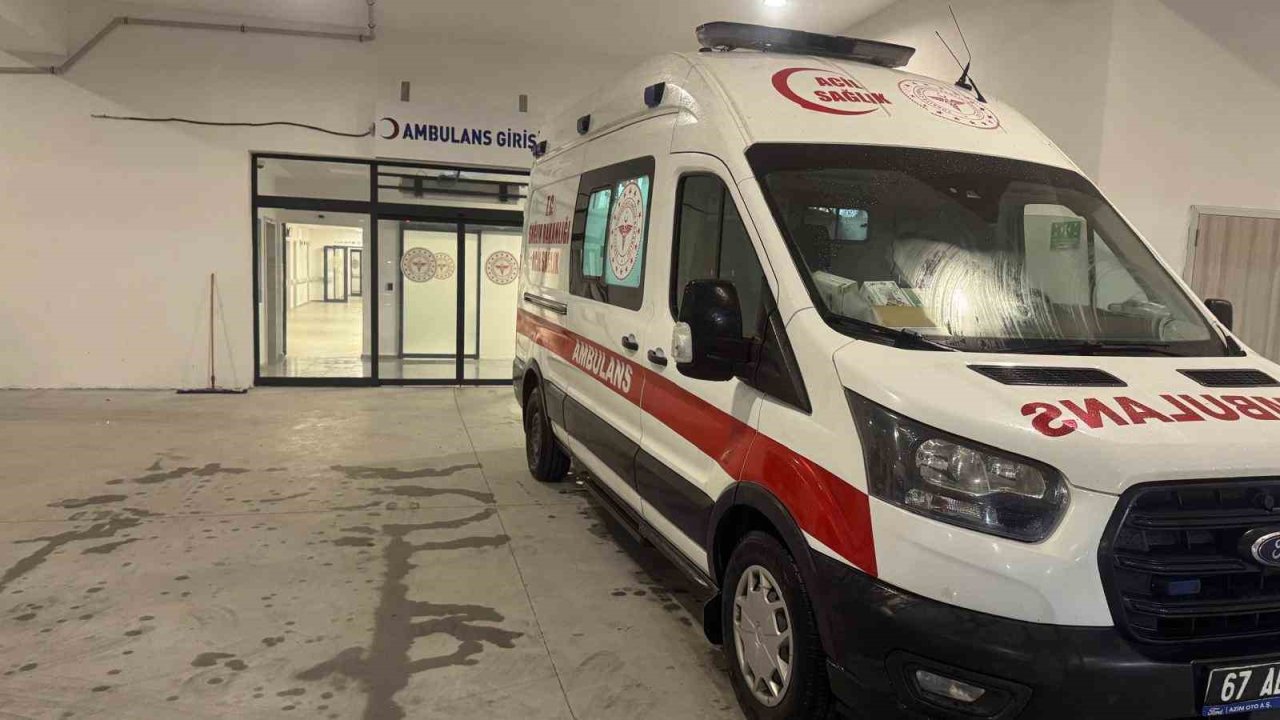 İncir Ağacından Düştü, Ağır Yaralandı.