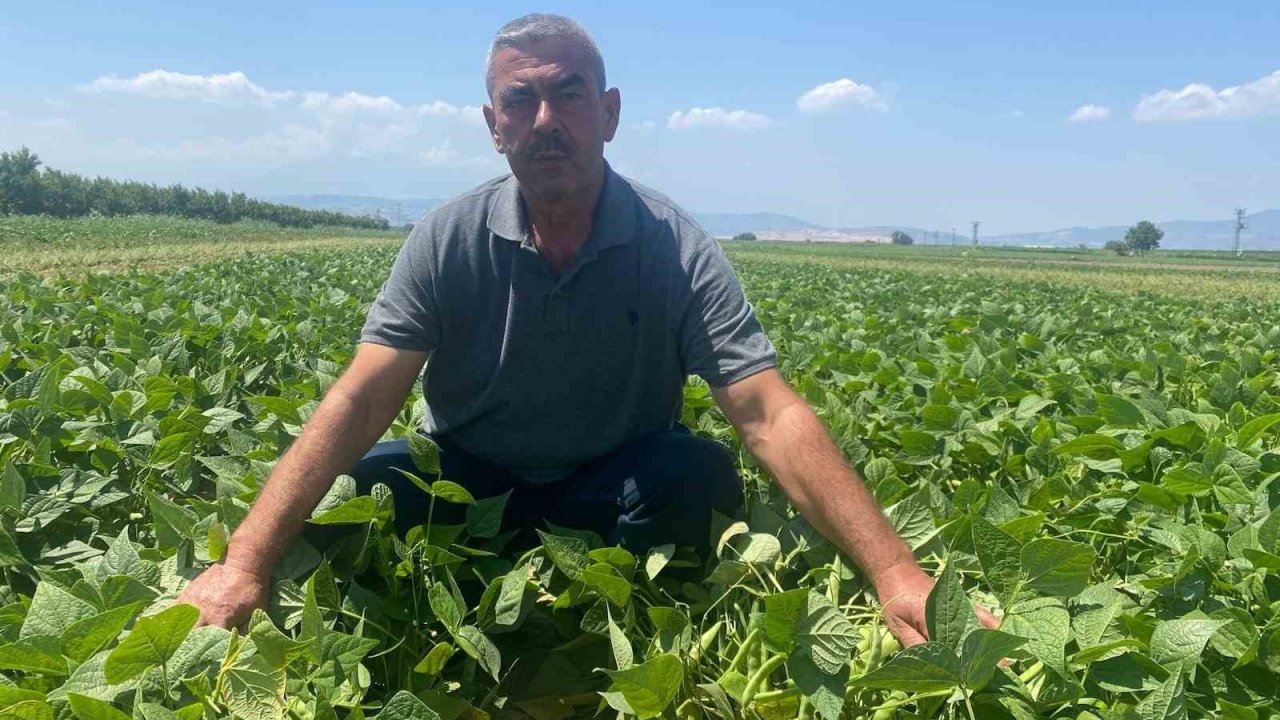 Bu köyde çiftçi sadece tarlasını hazırlıyor, gerisini kooperatif yapıyor