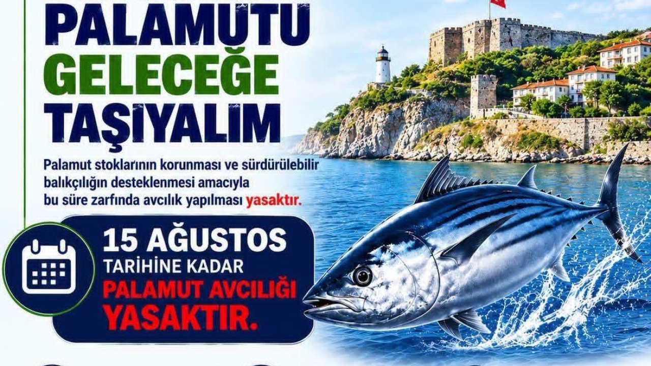 Balıkçılara ’palamut’ uyarısı