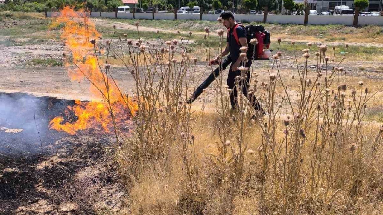 Van’da anız yangını