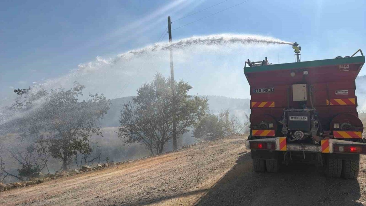Bilecik’te devrilen elektrik direği yangına neden oldu