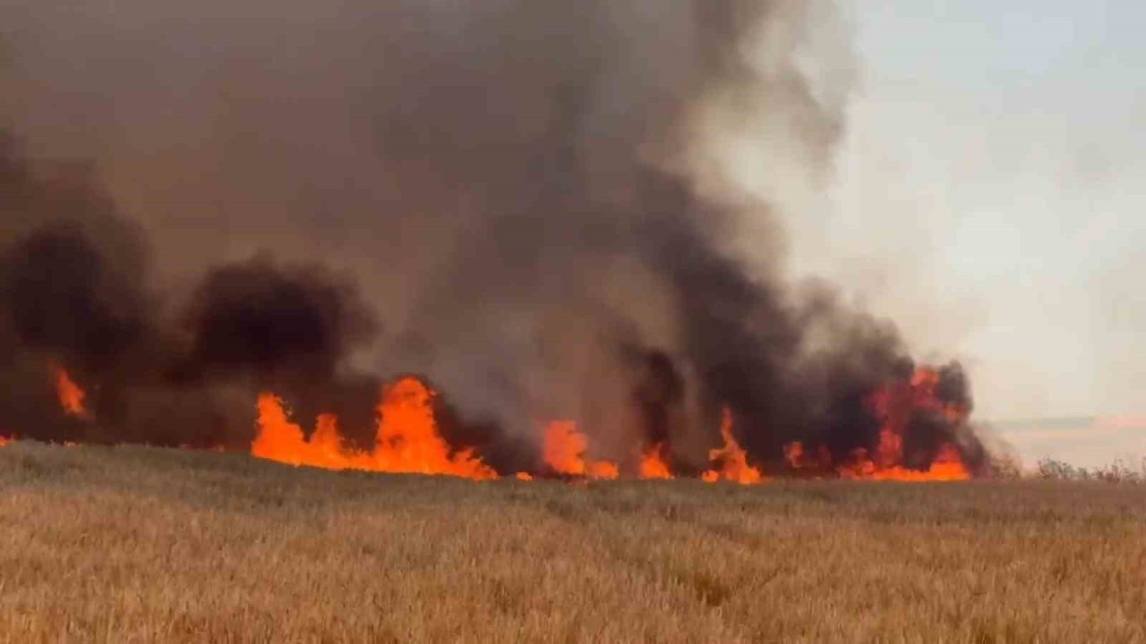 Tekirdağ İtfaiyesi 7 ayda 8 bin 157 olaya müdahale etti