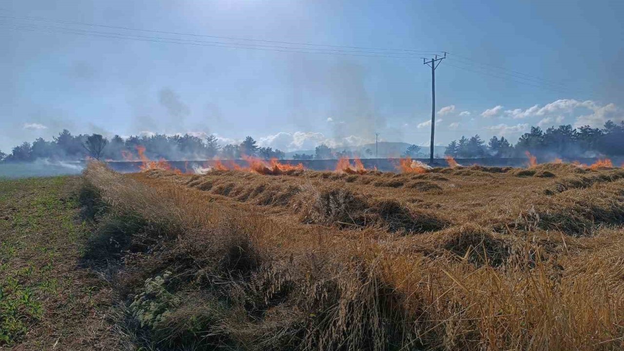 Kastamonu’da çıkan yangında 13 dönümlük tarar zarar gördü