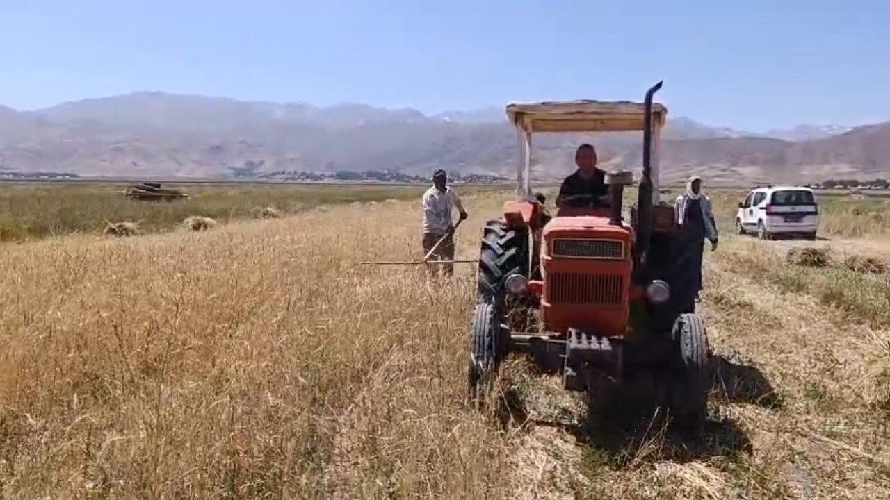 Yüksekova’da sıcak havaya rağmen çiftçilerin hasat mesaisi başladı