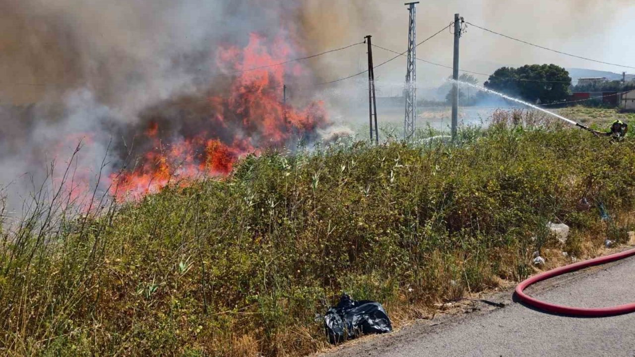 Burhaniye’de ot yangını trafiği etkiledi