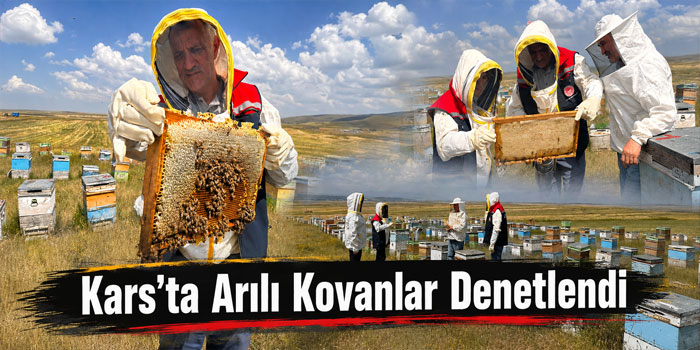 Kars’ta Arılı Kovanlar Denetlendi