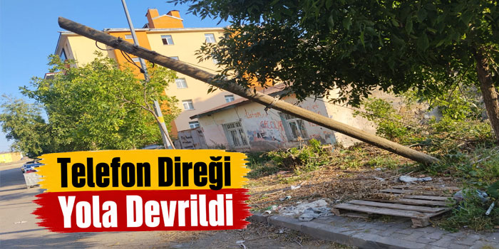 Kars Yeni Mahalle’de Devrilen Telefon Direği Tehlike Saçıyor