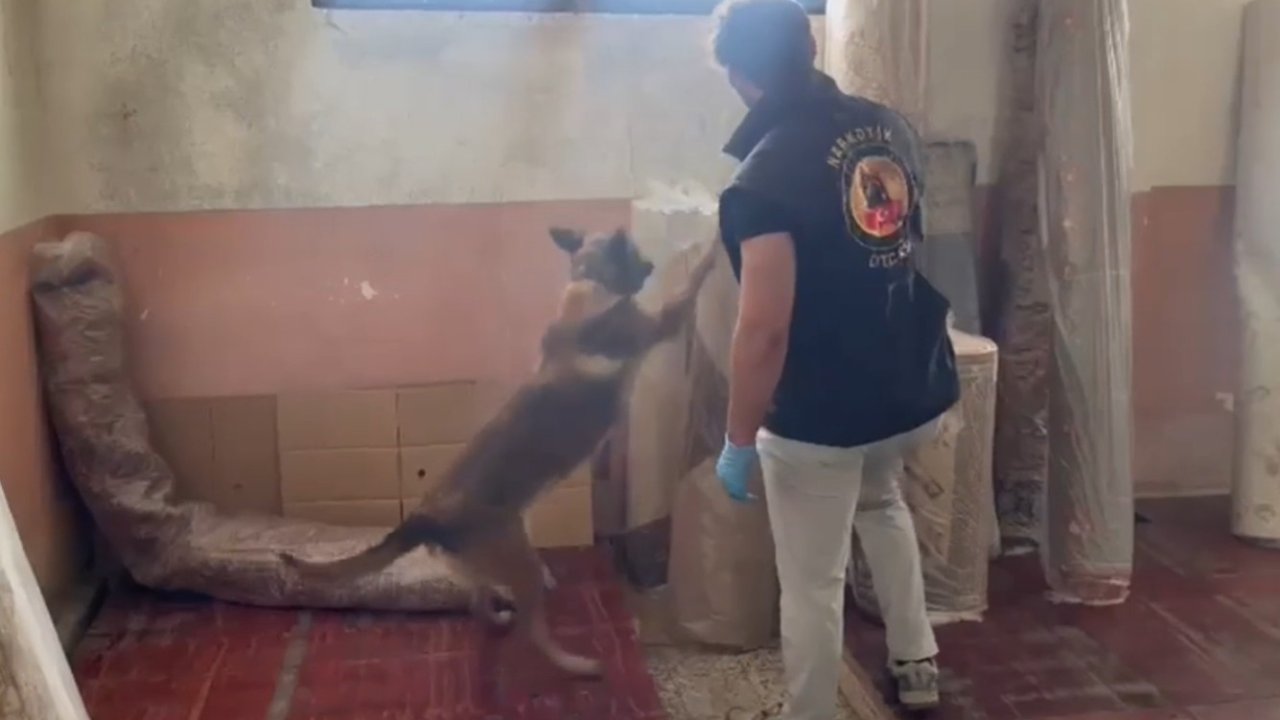 Kastamonu’daki uyuşturucu operasyonunda 5 şüpheli tutuklandı