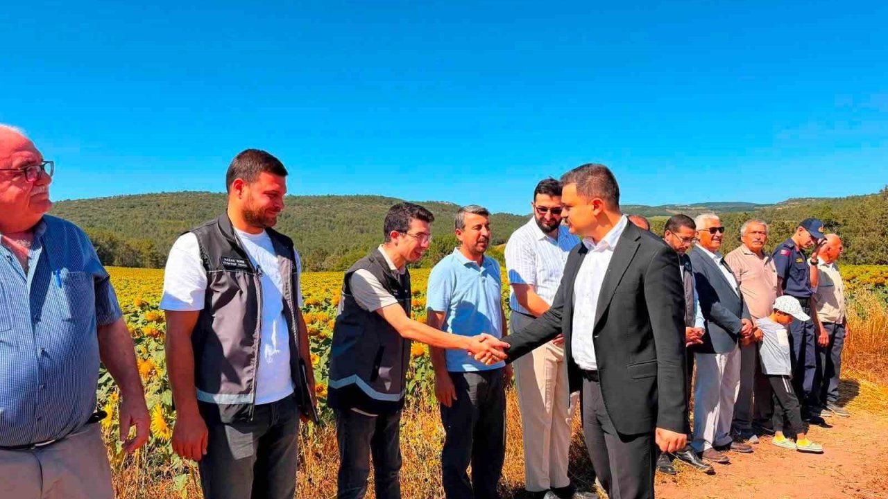 Kaymakam Titiz hasat sevincine ortak oldu