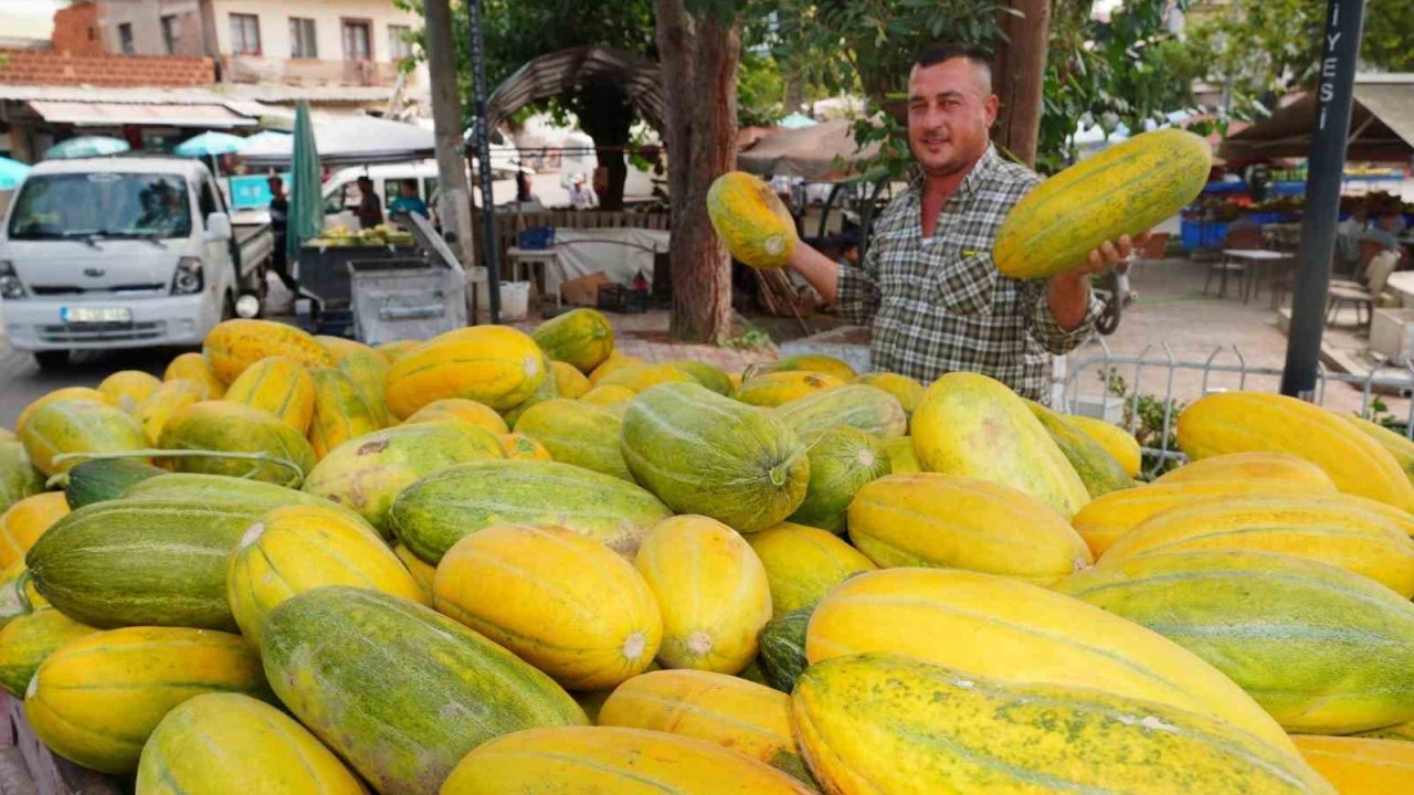 Tavan arasından çıkan tohumlar Altınbaş Kavununu yeniden canlandırdı
