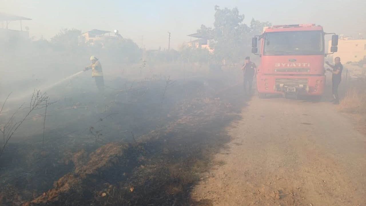 Hassa’da zeytinlik yangını yaşandı