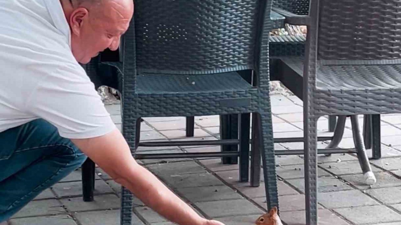 Kahvehaneye gelen sincabı elleriyle besledi