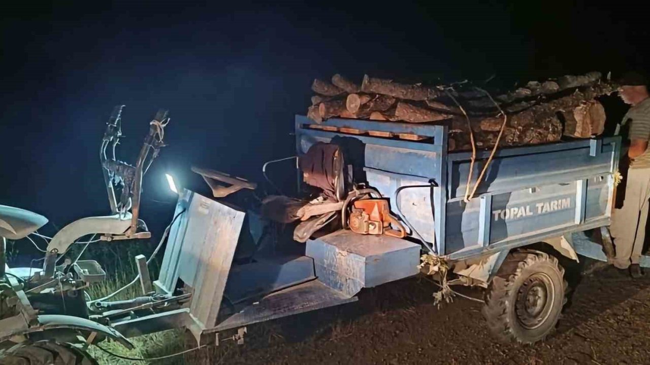 Antakya’da ormanda usulsüz kesim yapan şahıslar yakalandı