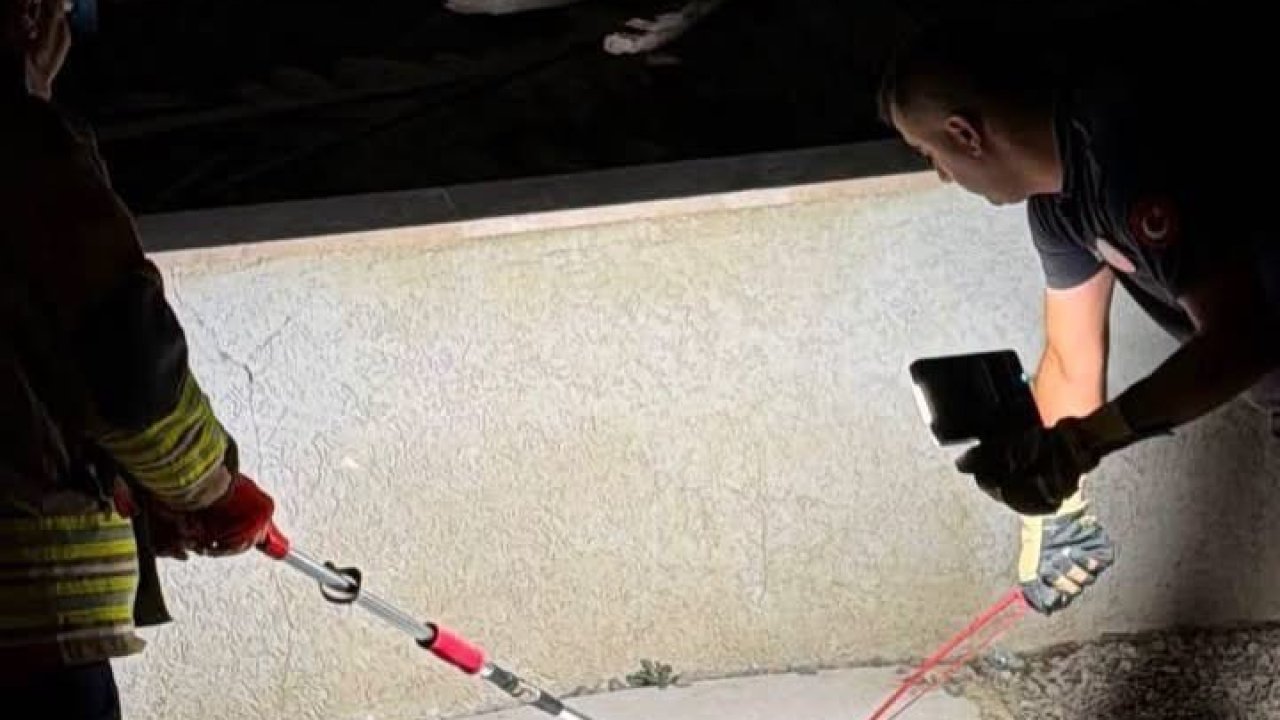 Hatay’da eve giren yılanları itfaiye yakaladı