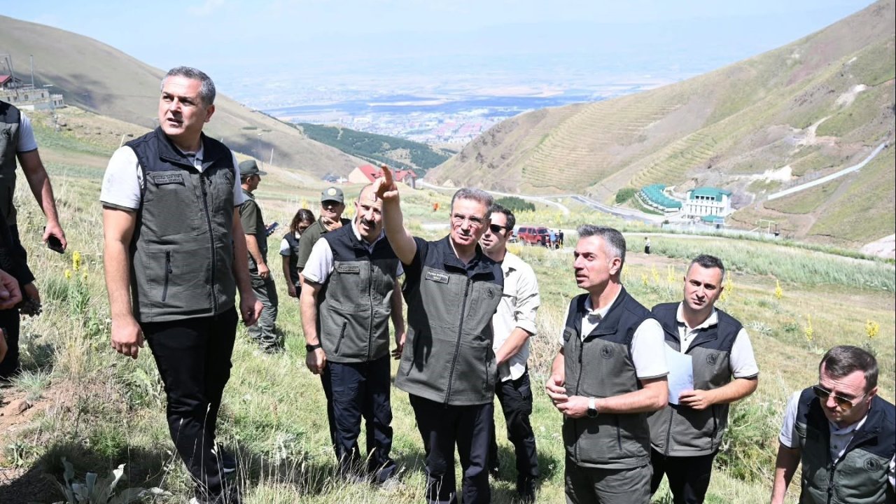 Palandöken’in orman varlığına inceleme