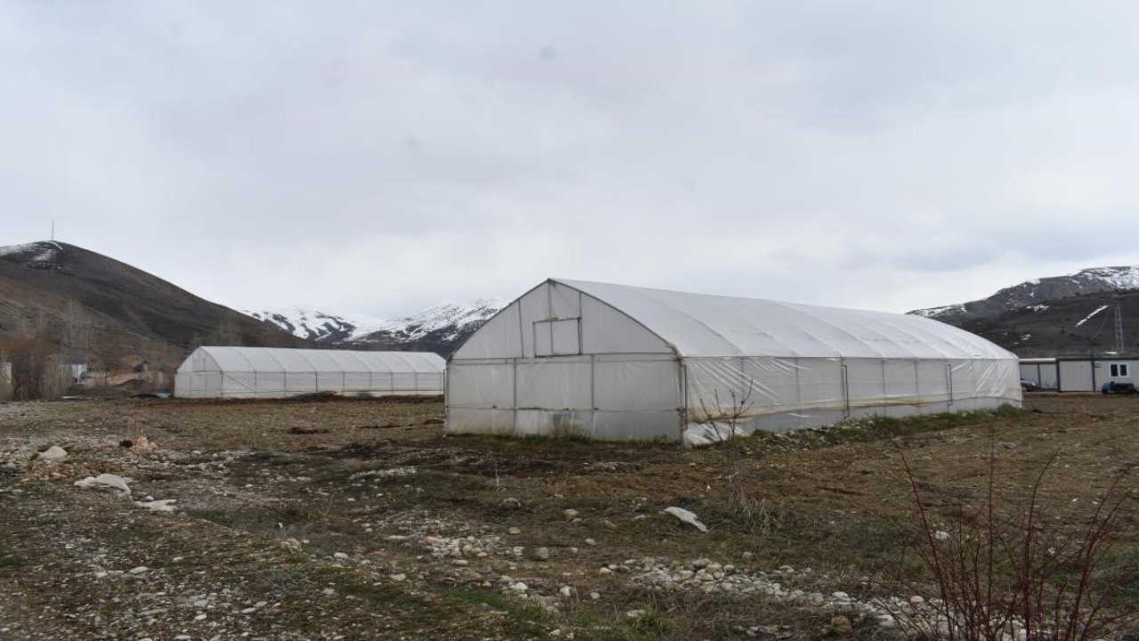 Erzincan’da sera örtüsü yenileme desteği başvuruları uzatıldı