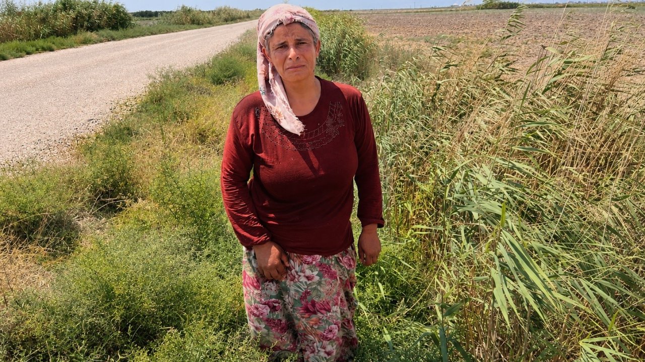 Süt satarak geçimini sağlayan kadının 2 buzağısı hastalanıp, ineği de su kanalına düşerek telef oldu