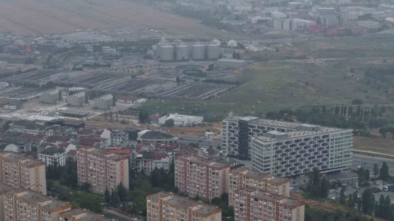 İstanbul’da yaz günü kış havası: Leylekler göç yolunda