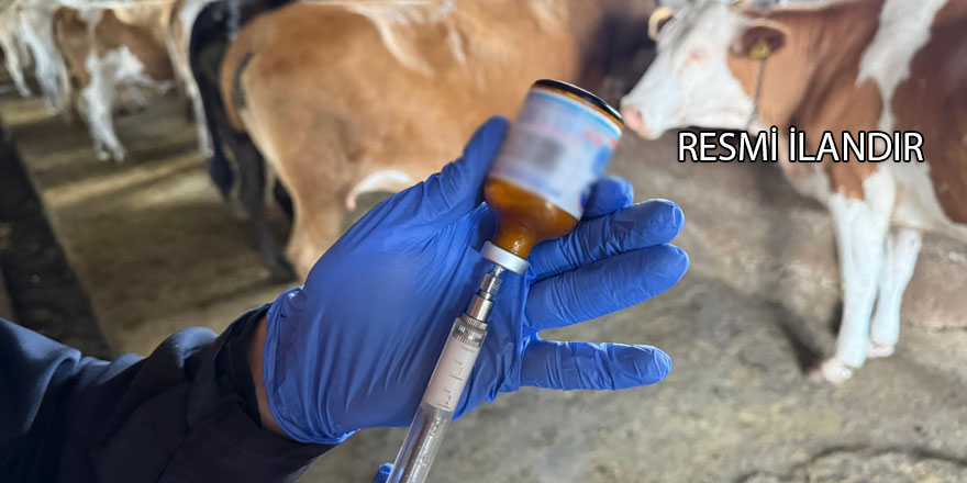 Aşı ve Vitamin Bolus Satın Alınacaktır