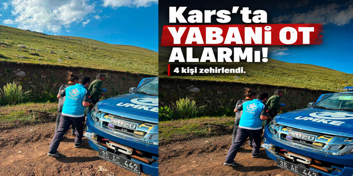 Kars'ta Yabani Ot Alarmı