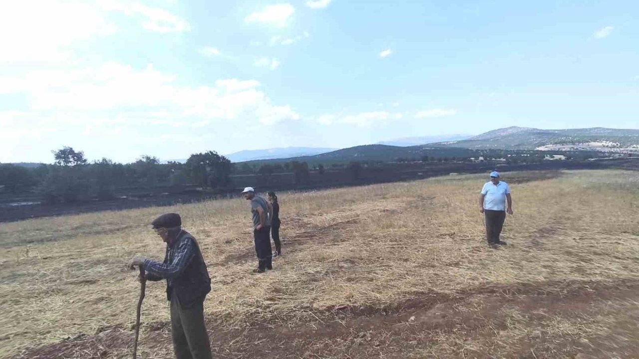 Kütahya’da yangının ardından tarım arazilerinde hasar tespiti