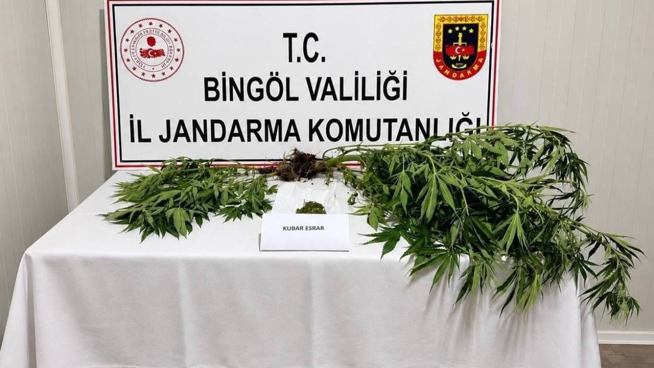 Bingöl’de kesinleşmiş hapis cezası bulunan 6 zanlı yakalandı