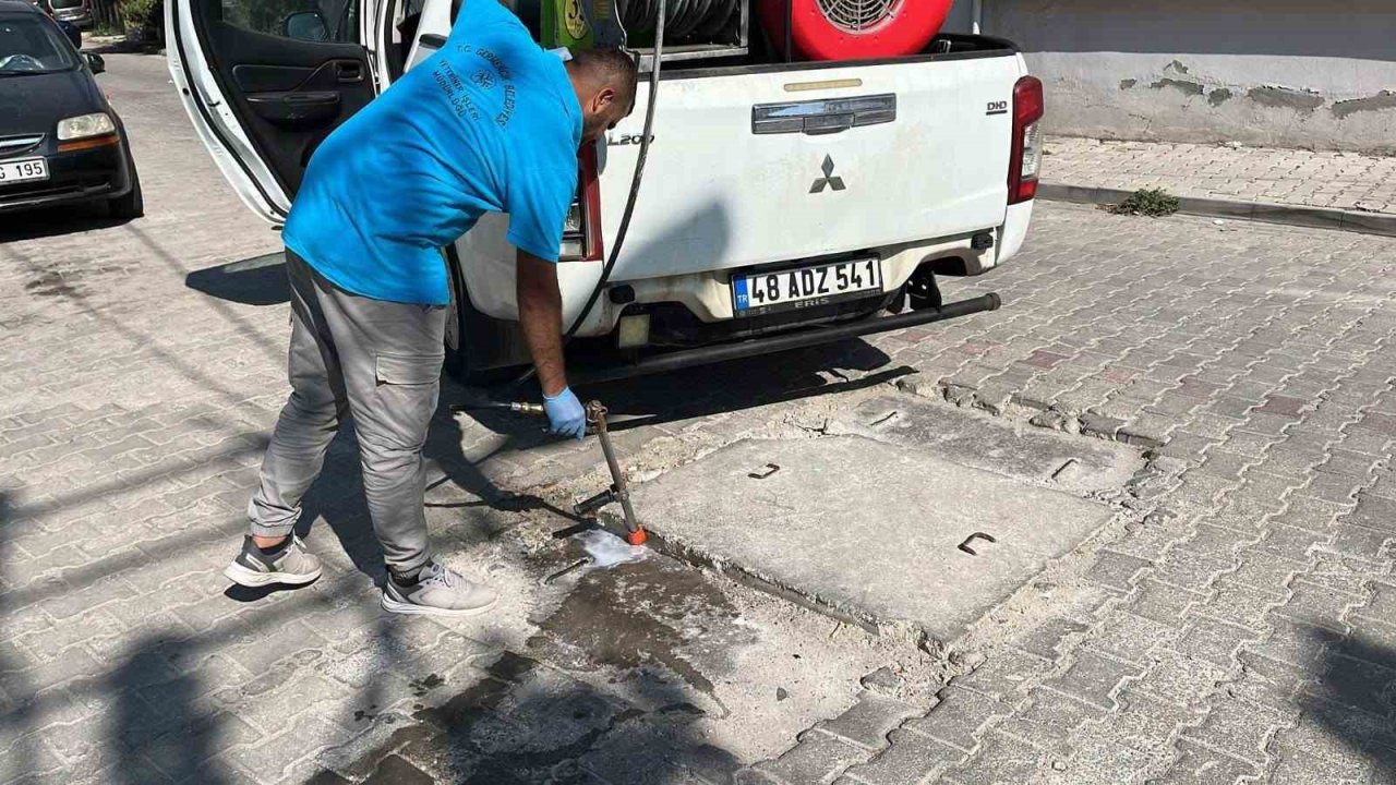 Germencik’te haşere ve zararlılara karşı etkin mücadele