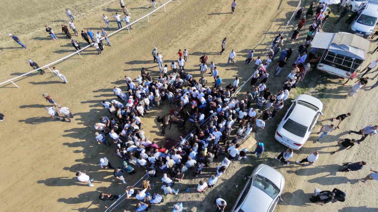 Yarışta çarpışan iki at telef oldu, jokey son anda atlayarak kurtuldu