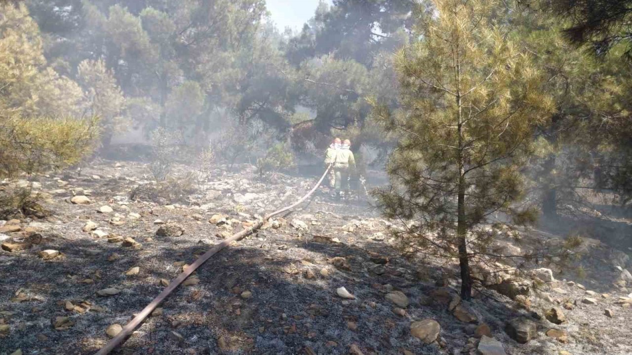 Denizli’de orman yangını hızlı müdahaleyle kontrol altına alındı
