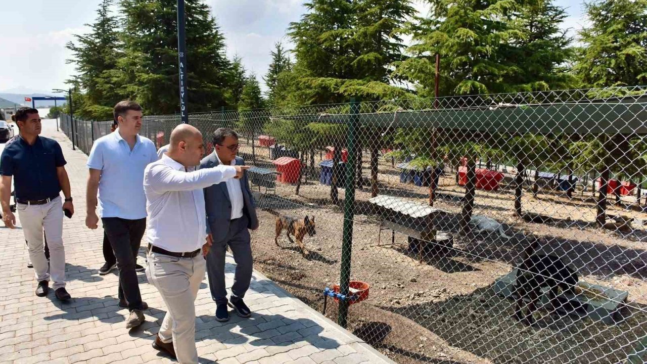 Başkan Hakan Şehirli Hayvan Bakımevi’ni ziyaret etti