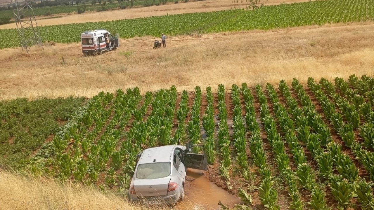Malatya’da otomobil tütün tarlasına düştü: 3 yaralı