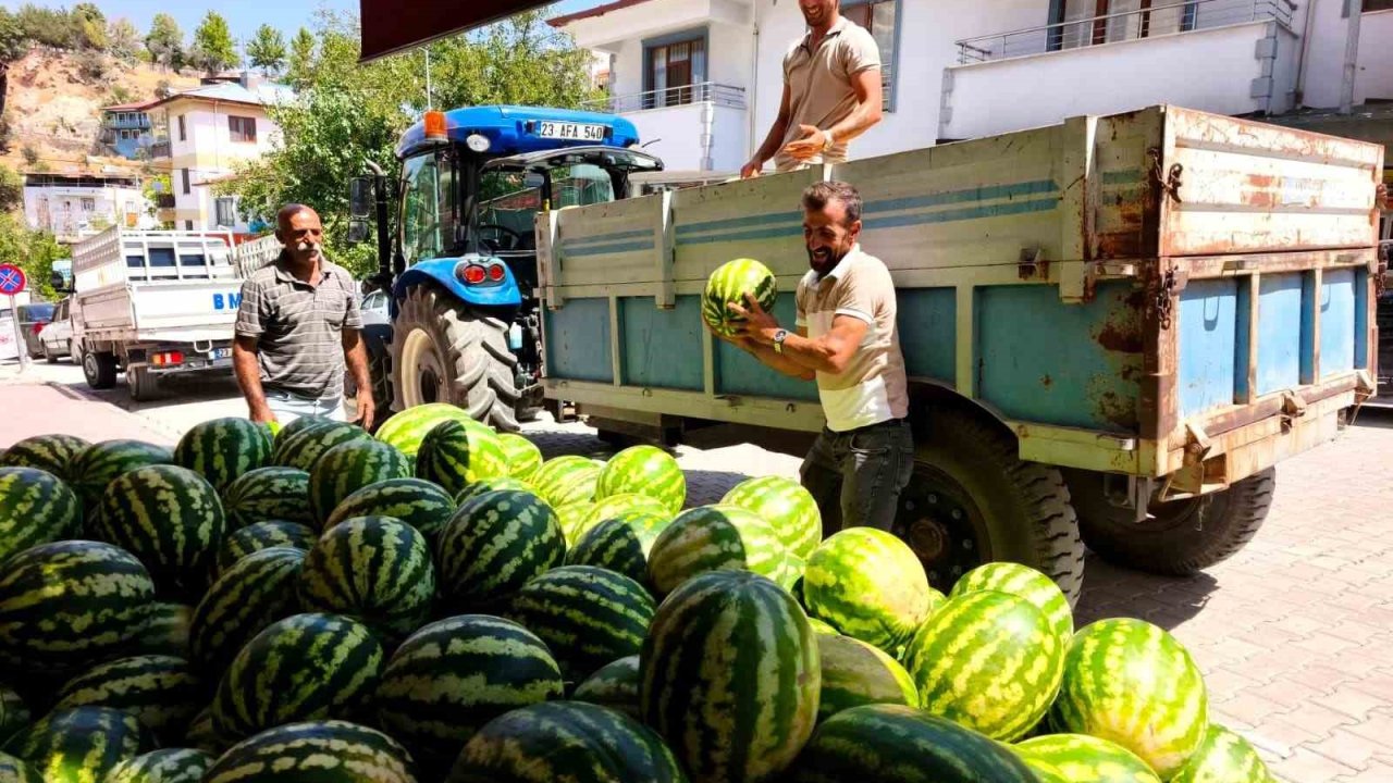 Doğallığıyla damaklarda iz bırakan Hıdıroz Karpuzu tezgahlarda yerini aldı