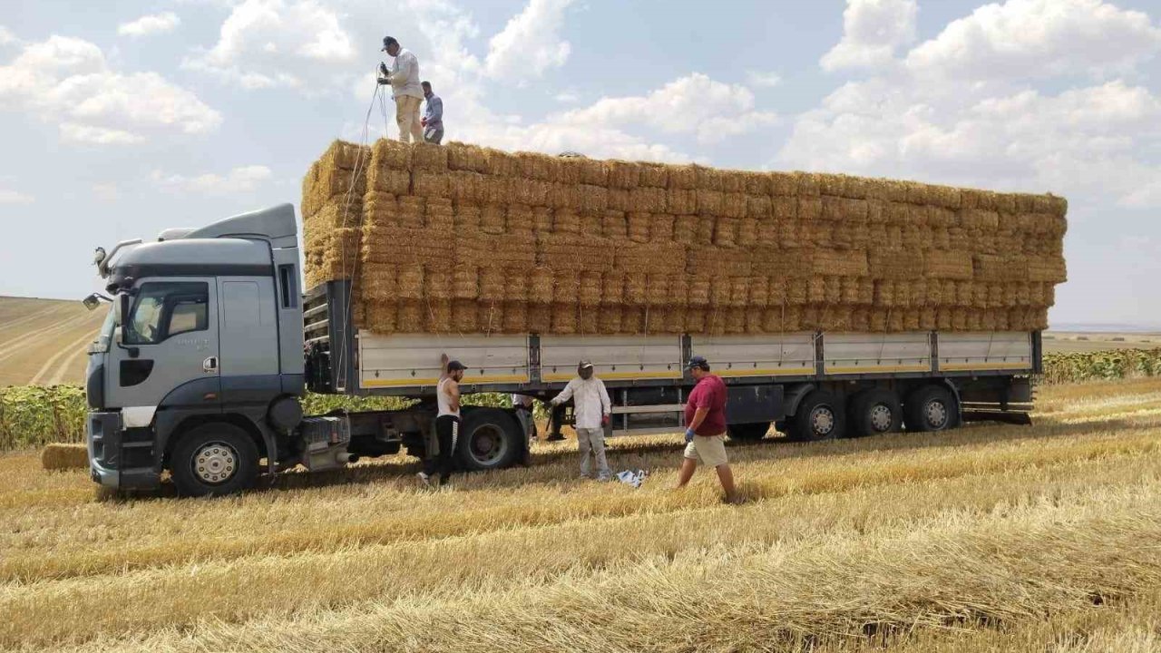 Tekirdağlı genç çiftçiden yangın bölgesindeki üreticilere saman balyası yardımı